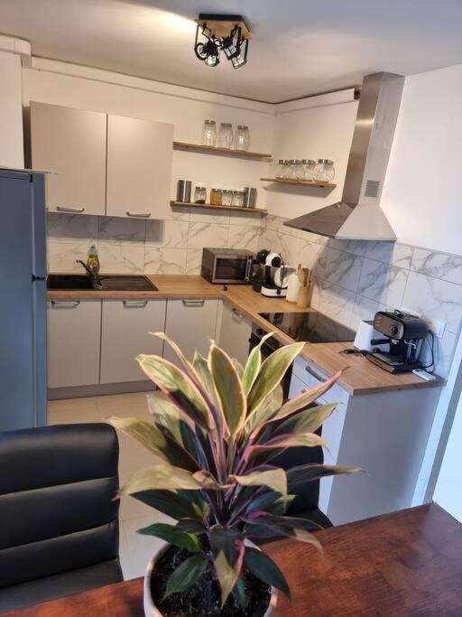 בסטיה Appartement Vue Mer Avec Parking Gratuit Sur Place מראה חיצוני תמונה